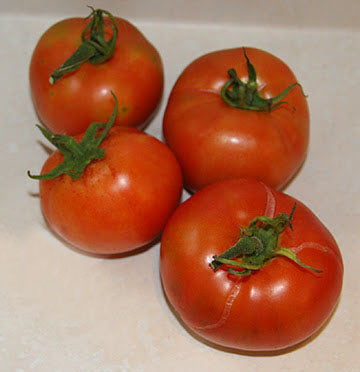 Caspian Pink Tomato Plants, Two Live Garden Plants