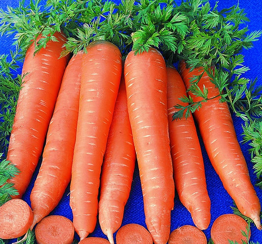 Rothild Heirloom Certified- Carrot Seed